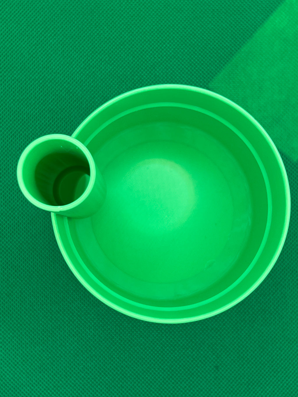 Self-Watering Plant Container